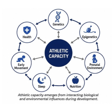 Wheel diagram showing the factors that build athletic capacity in young athletes: genetics, epigenetics, prenatal environment, nutrition, sleep, early movement, and health